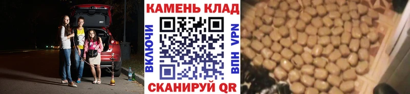 маркетплейс клад  где найти наркотики  mega рабочий сайт  Елизово  ГАШИШ гарик 