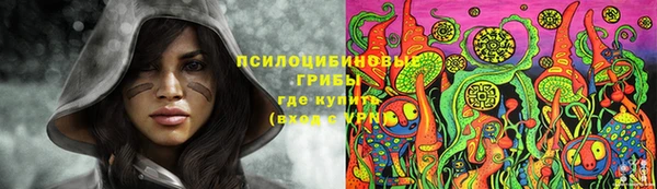 прущий лед Алексеевка