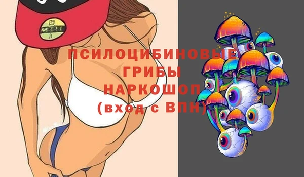 сатива Алексин
