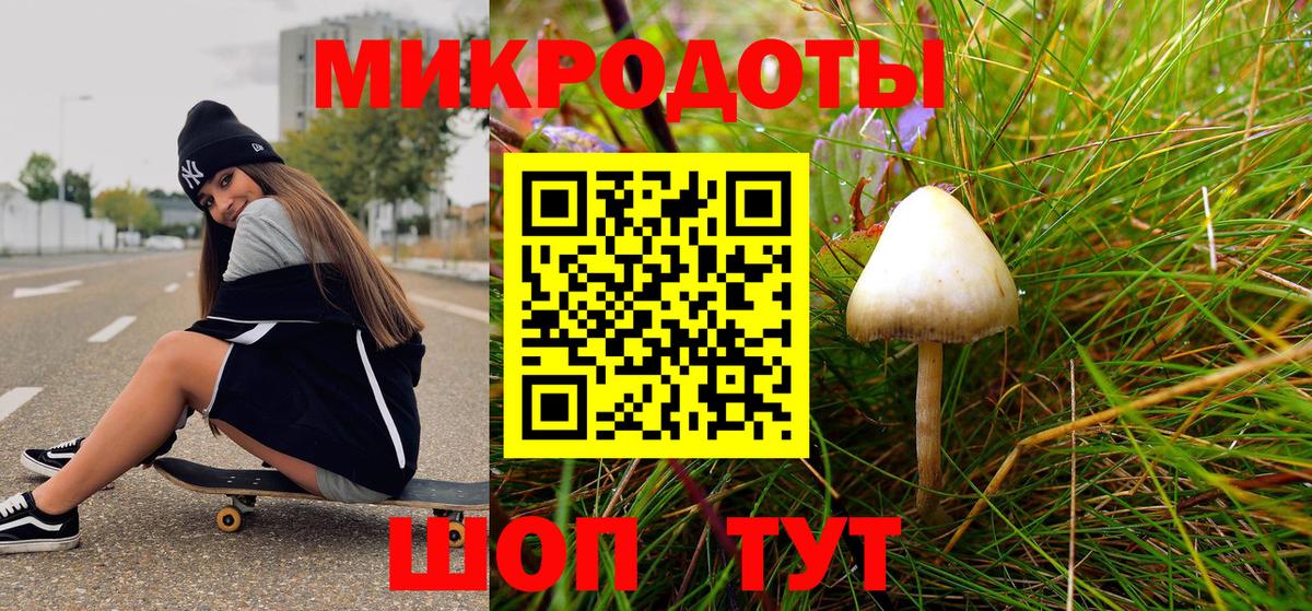 Псилоцибиновые грибы мухоморы Елизово